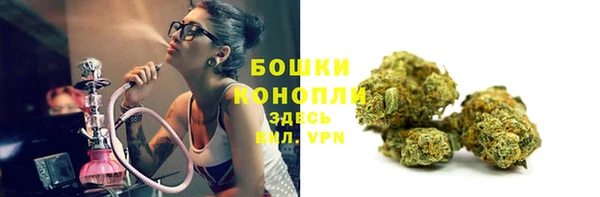a pvp Аркадак